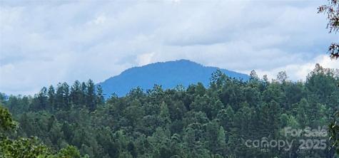 Lot 3 S Cross Creek Trail Mill Spring NC 28756