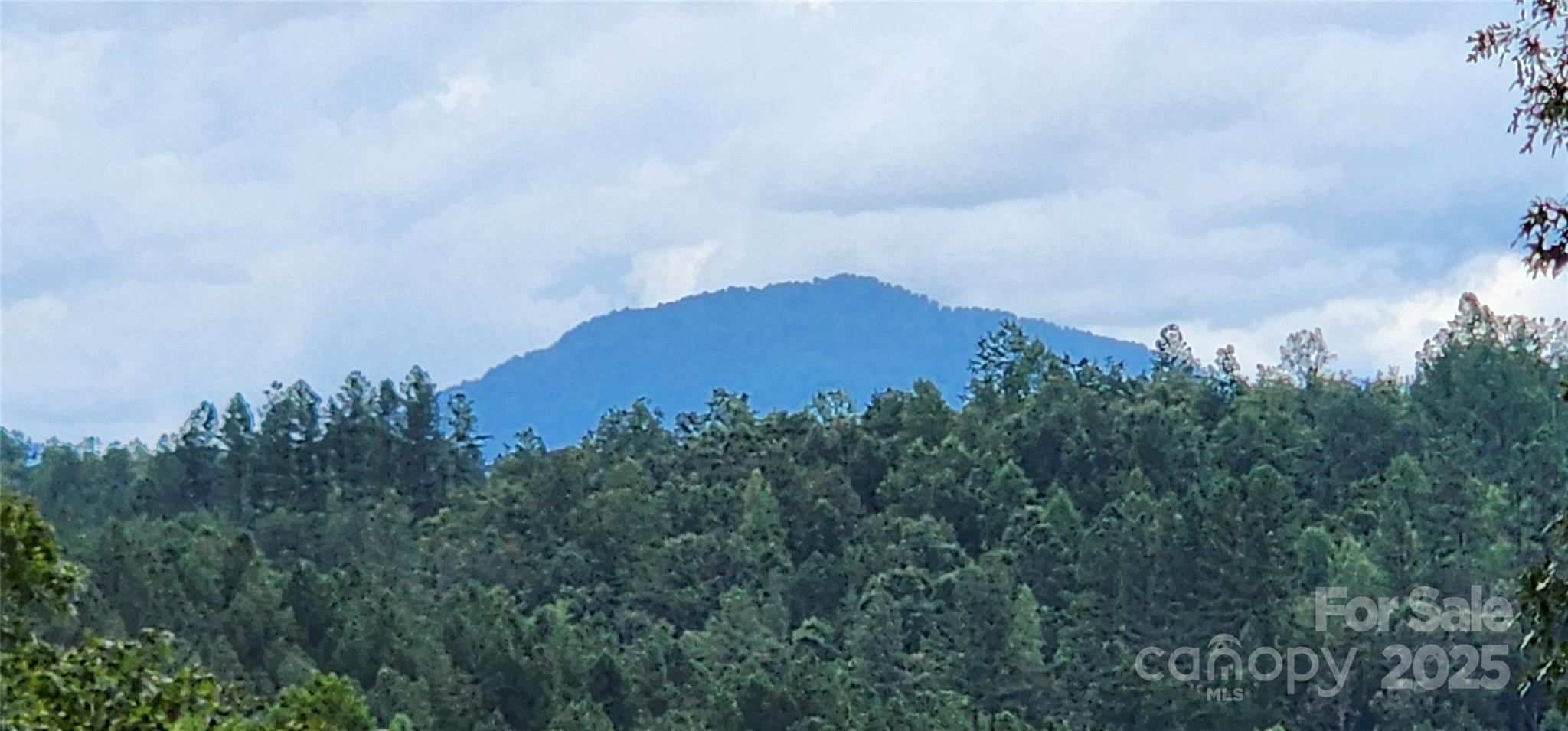 Lot 3 S Cross Creek Trail Mill Spring NC 28756