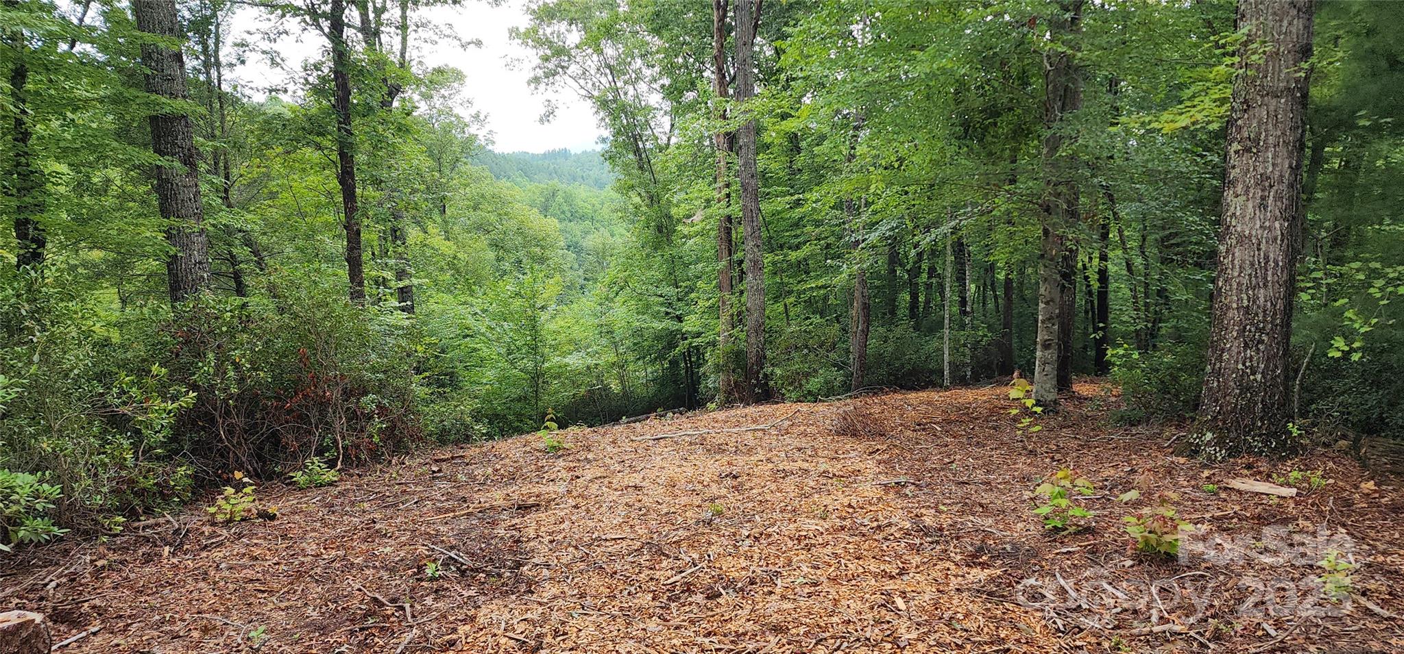 Lot 3 S Cross Creek Trail Mill Spring NC 28756