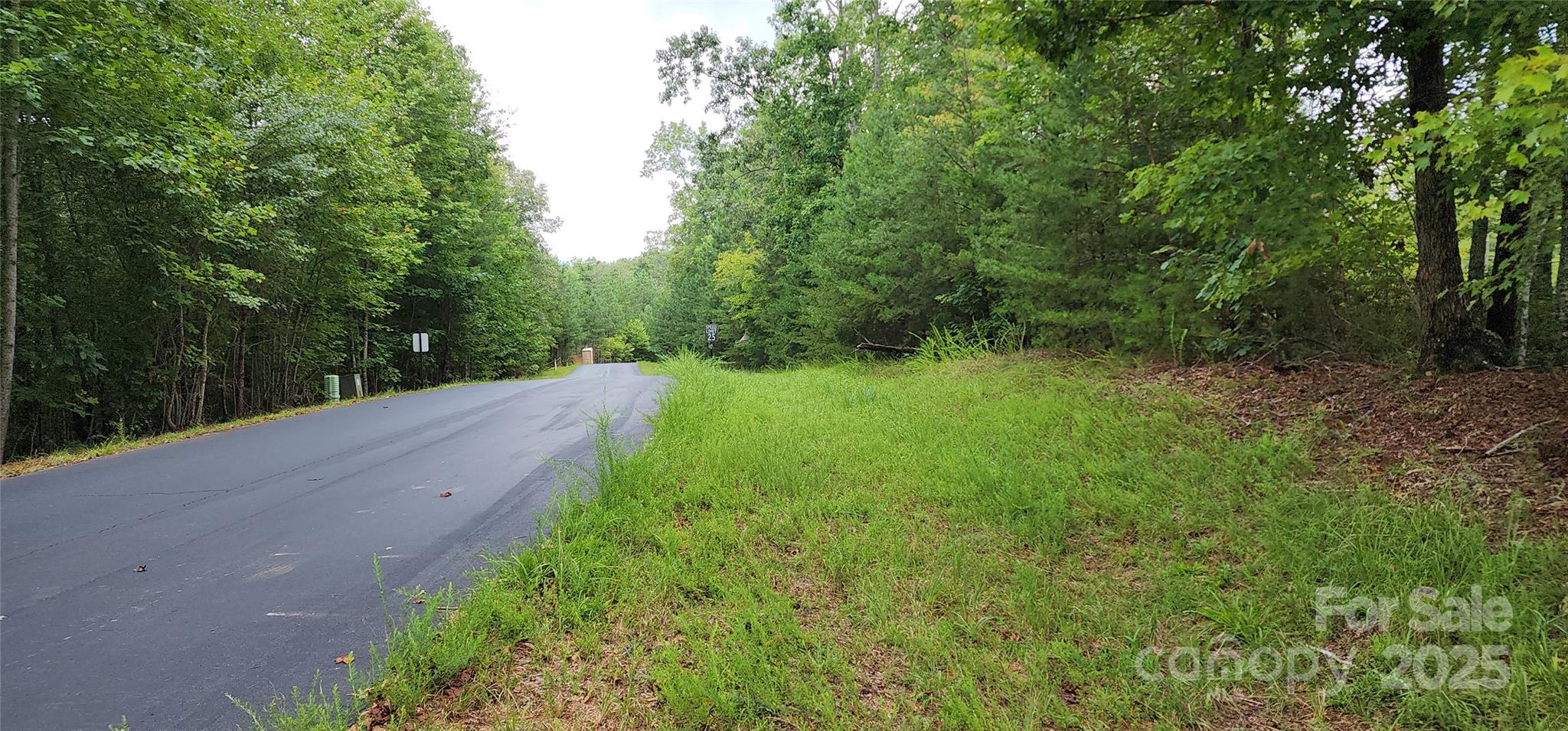 Lot 3 S Cross Creek Trail Mill Spring NC 28756