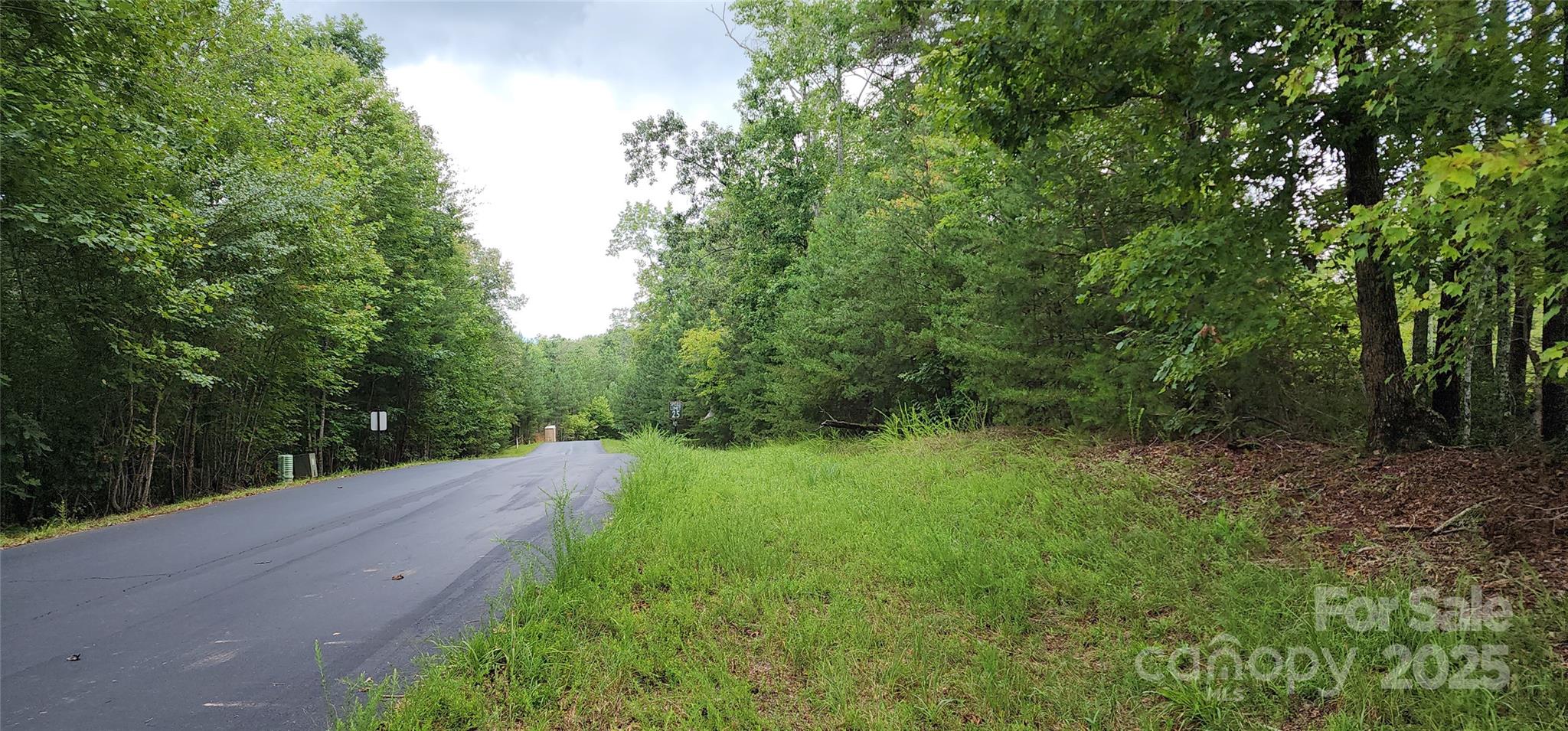 Lot 3 S Cross Creek Trail Mill Spring NC 28756