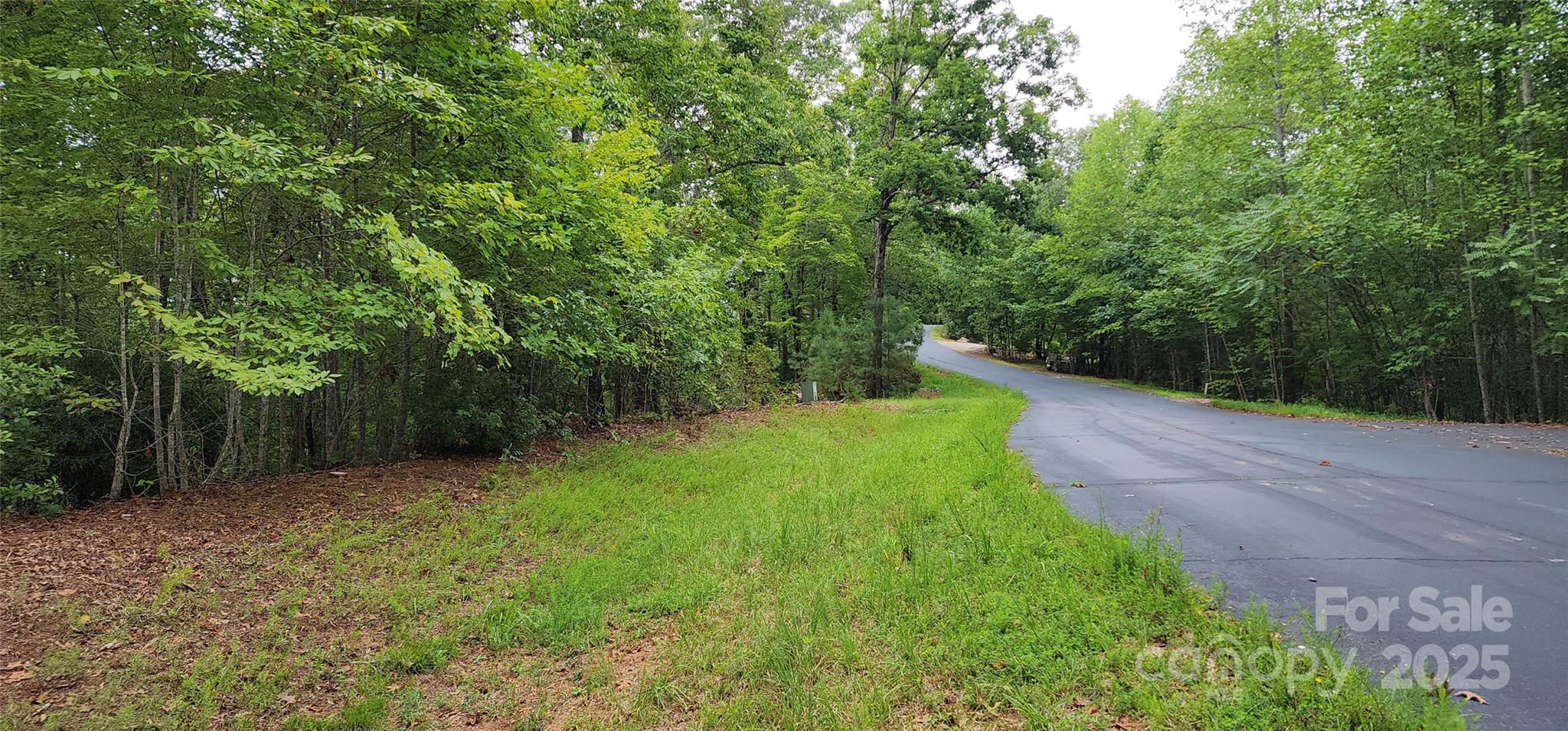 Lot 3 S Cross Creek Trail Mill Spring NC 28756