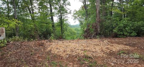 Lot 3 S Cross Creek Trail Mill Spring NC 28756
