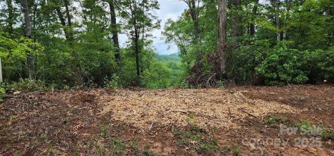 Lot 3 S Cross Creek Trail Mill Spring NC 28756
