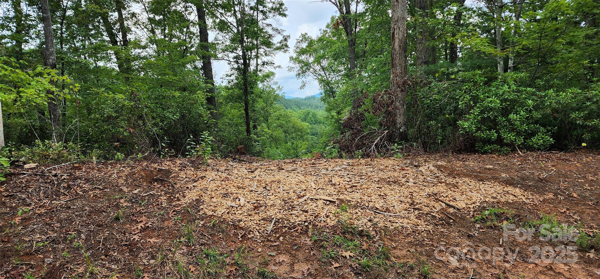 Lot 3 S Cross Creek Trail Mill Spring NC 28756