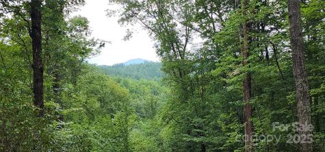 Lot 3 S Cross Creek Trail Mill Spring NC 28756