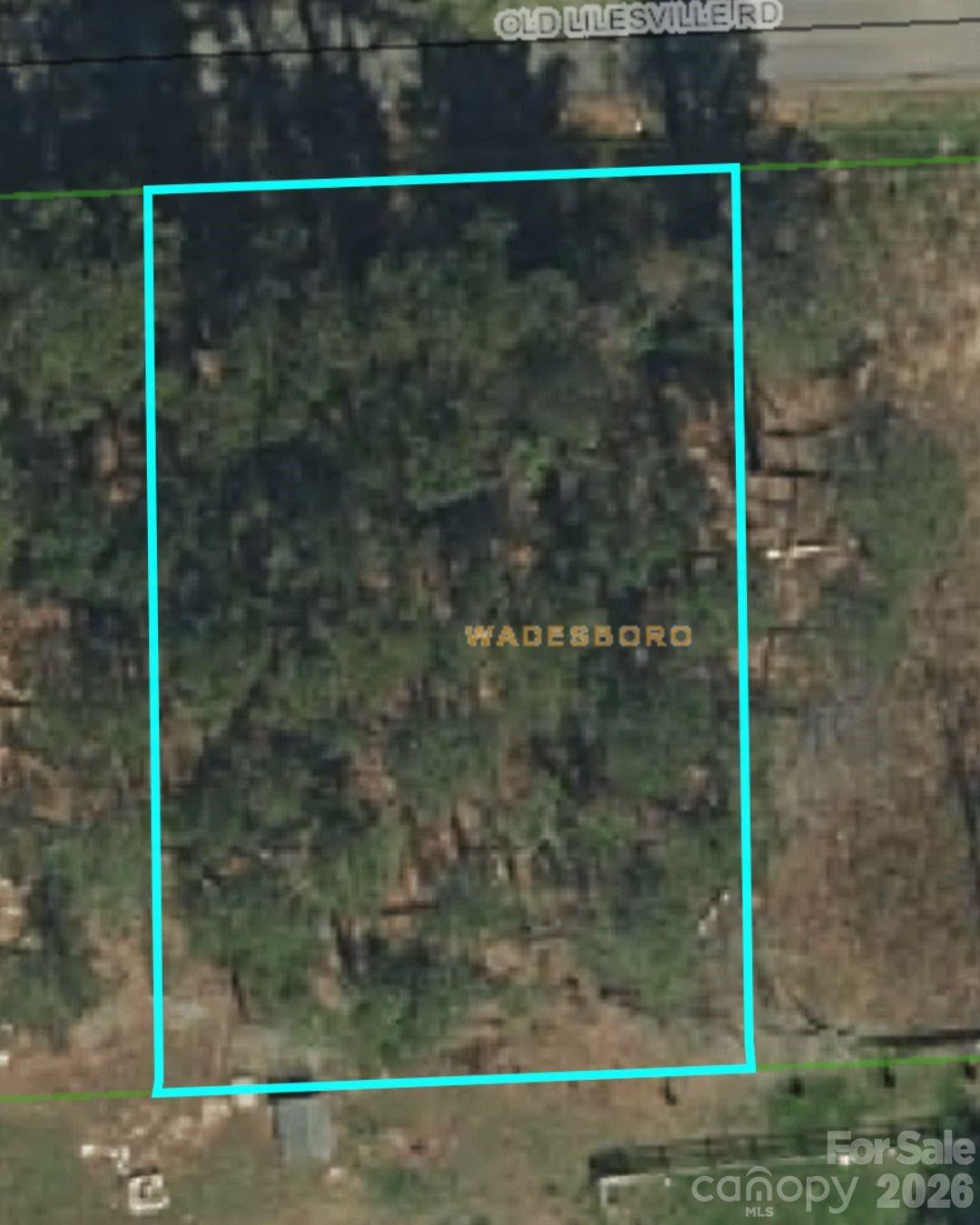 #00 Old Lilesville Road Wadesboro NC 28170