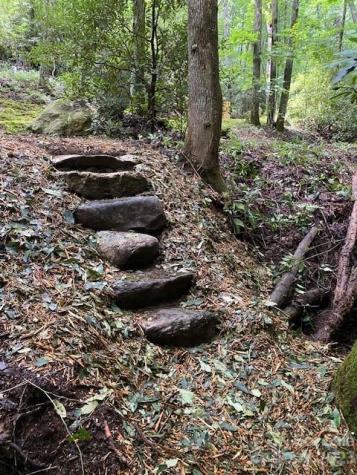 619 Speckled Feather Pass Sapphire NC 28774