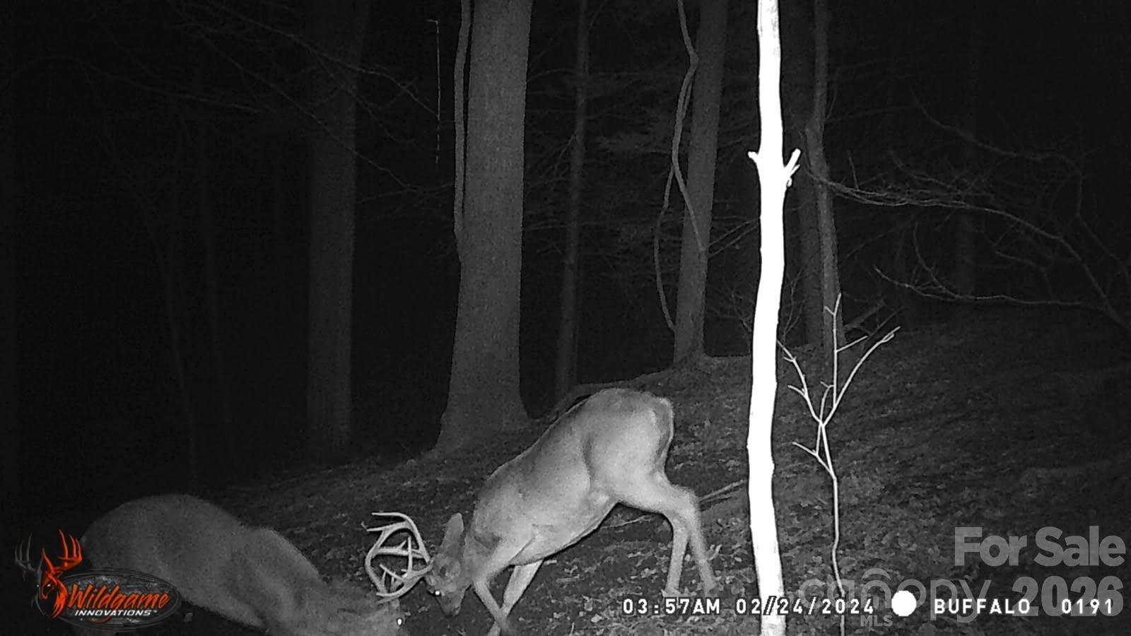 0 Buffalo Cove Road Lenoir NC 28645