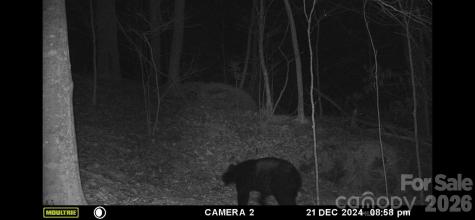 0 Buffalo Cove Road Lenoir NC 28645