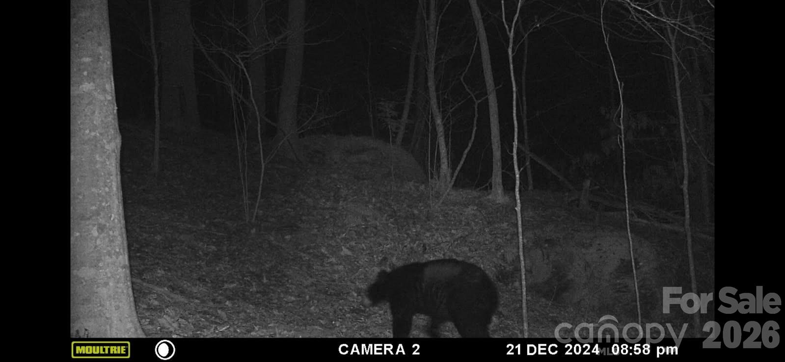 0 Buffalo Cove Road Lenoir NC 28645