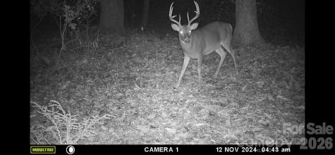 0 Buffalo Cove Road Lenoir NC 28645