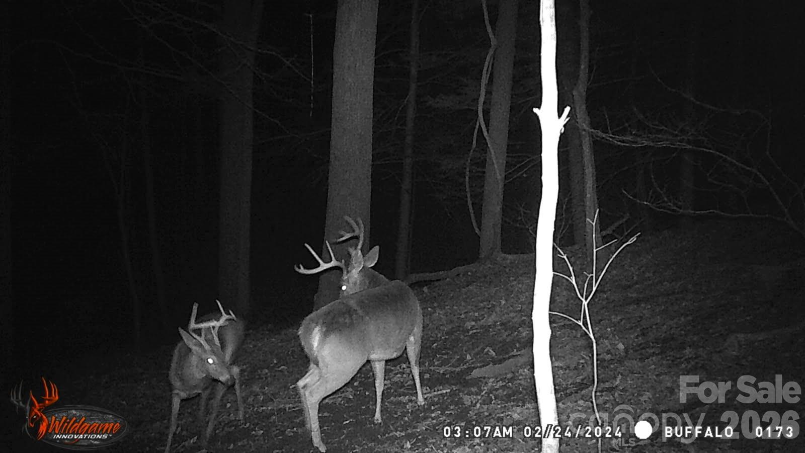 0 Buffalo Cove Road Lenoir NC 28645