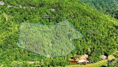 0 Buffalo Cove Road Lenoir NC 28645