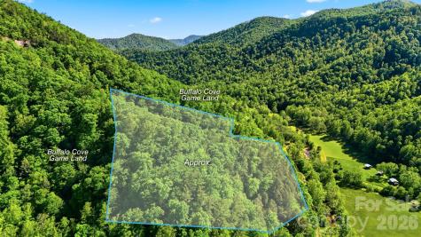0 Buffalo Cove Road Lenoir NC 28645