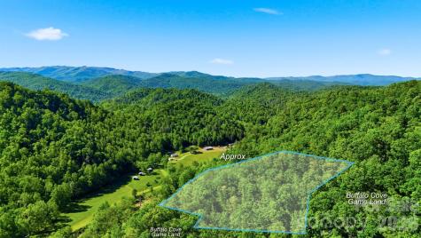 0 Buffalo Cove Road Lenoir NC 28645