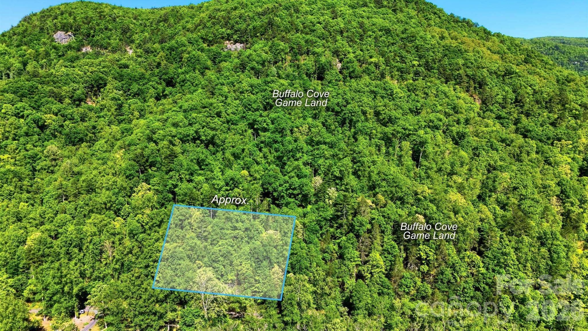0 Buffalo Cove Road Lenoir NC 28645