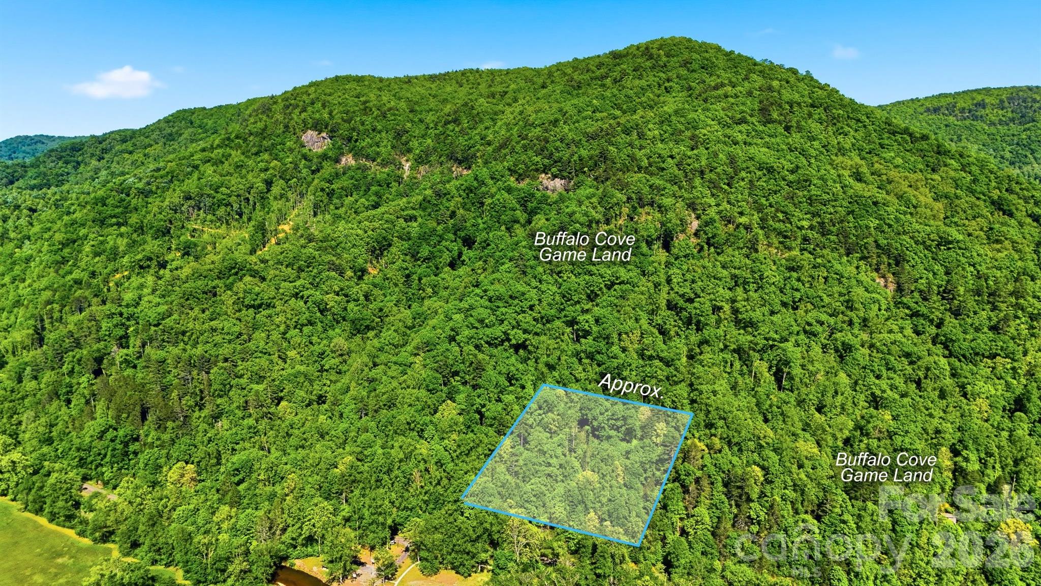 0 Buffalo Cove Road Lenoir NC 28645