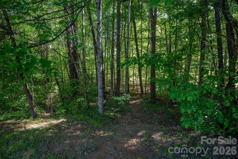 1725 Bay Head Court Catawba NC 28609