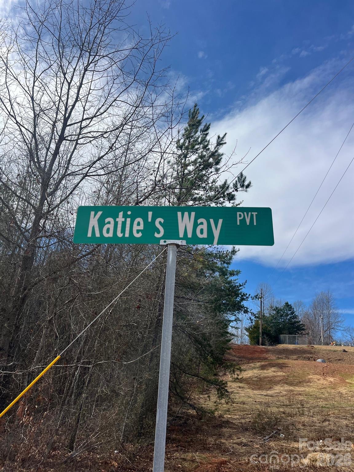 24 Katies Way Nebo NC 28761