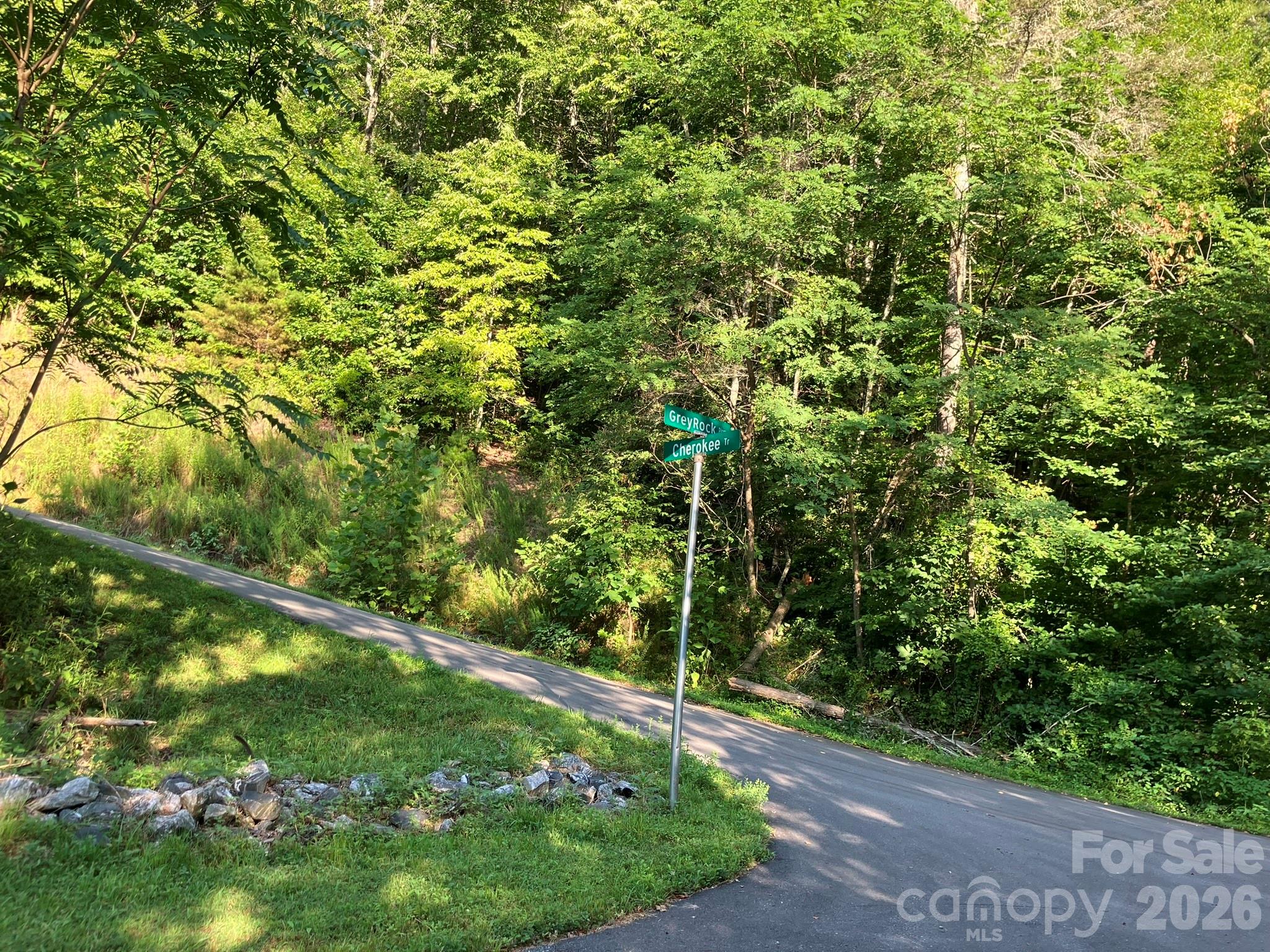 0 Cherokee Trail Lake Lure NC 28746