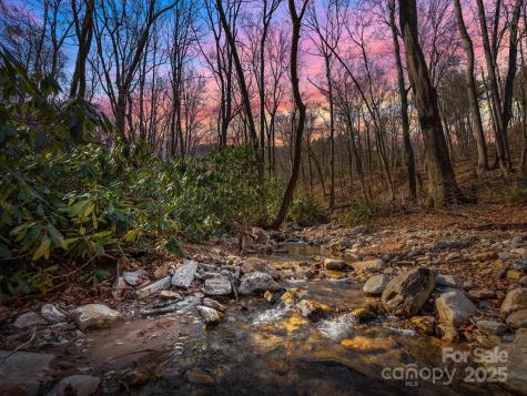 000 Stafford Lane S Mill Spring NC 28756