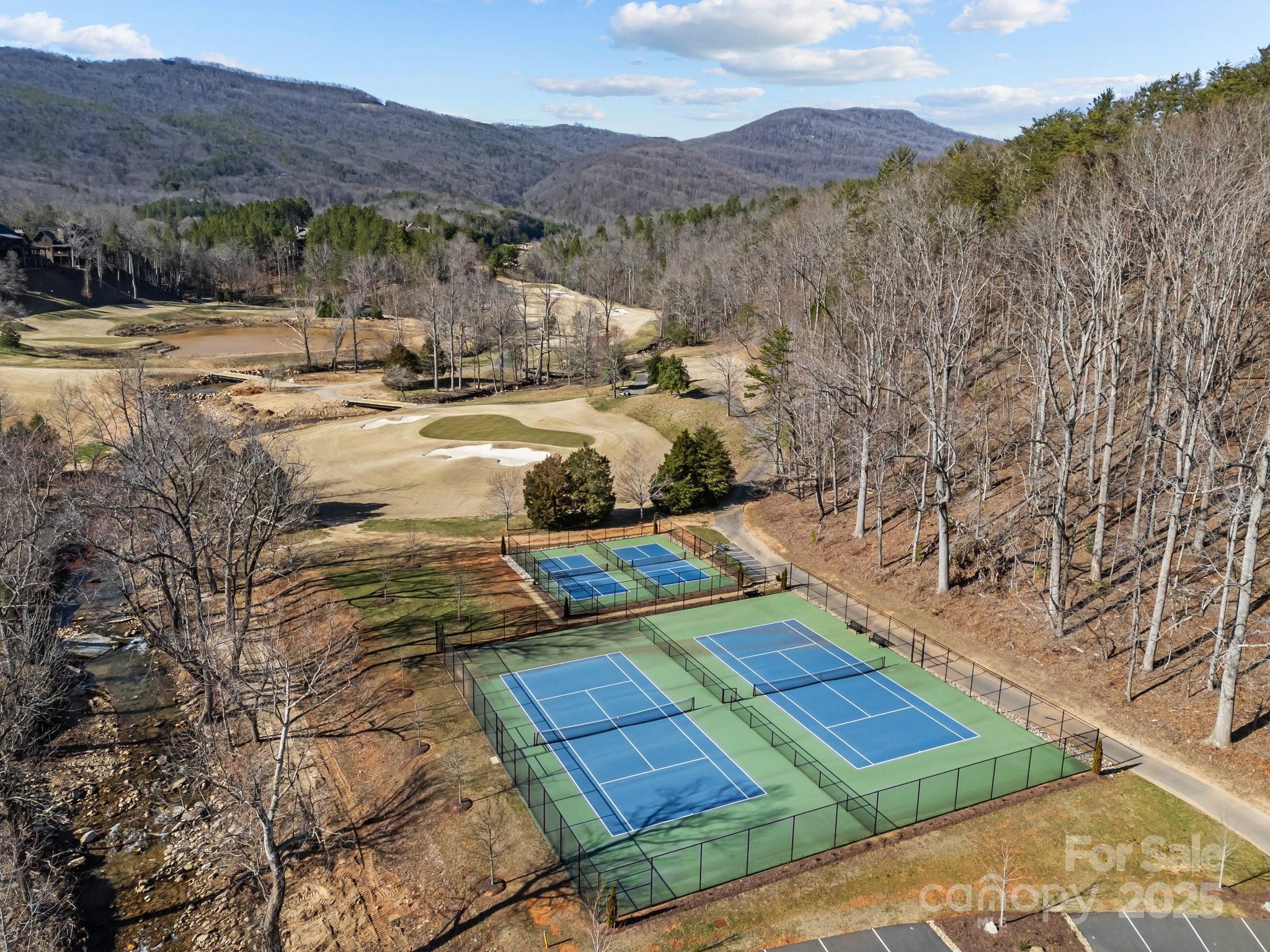 000 Stafford Lane S Mill Spring NC 28756