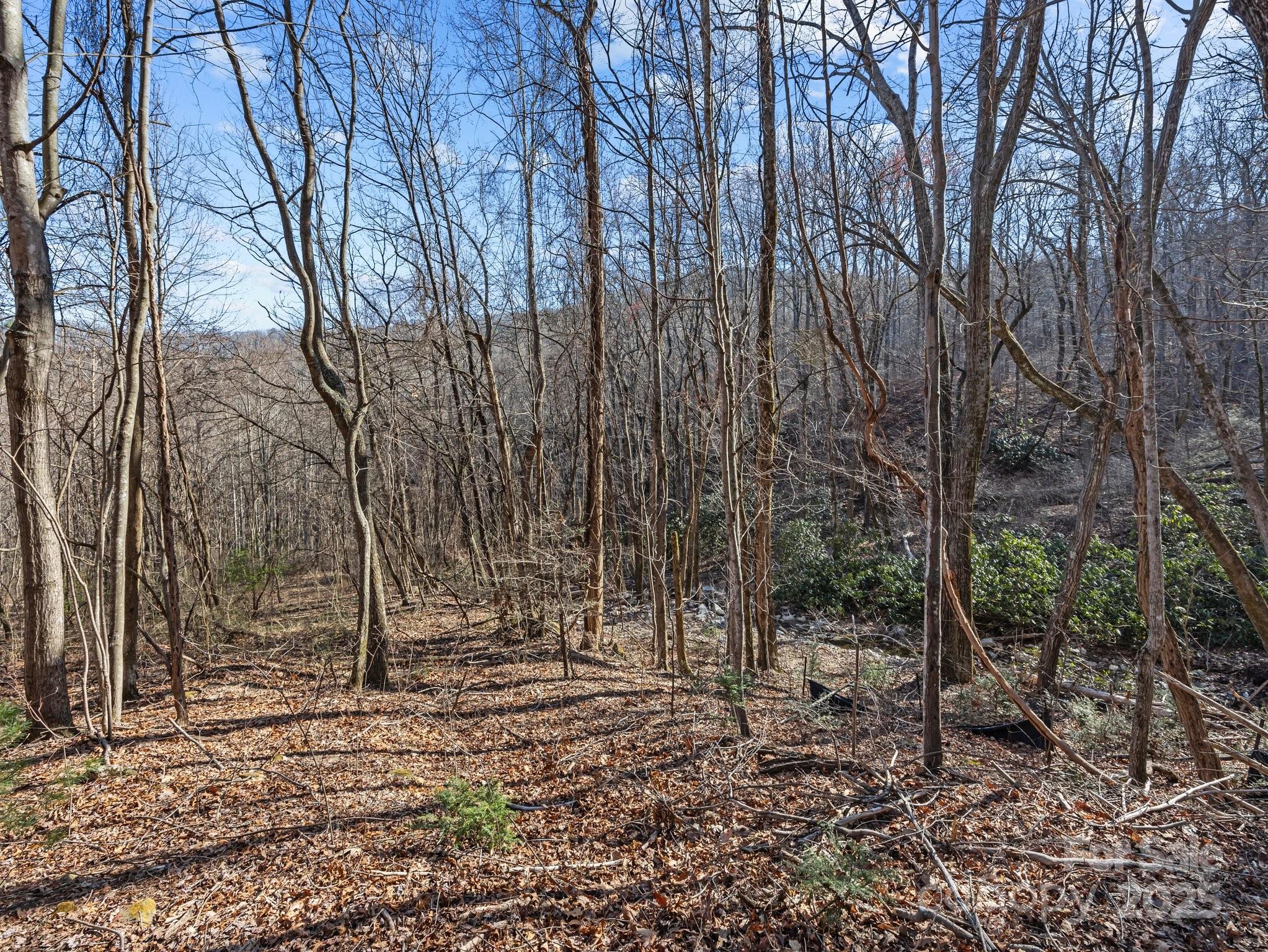 000 Stafford Lane S Mill Spring NC 28756