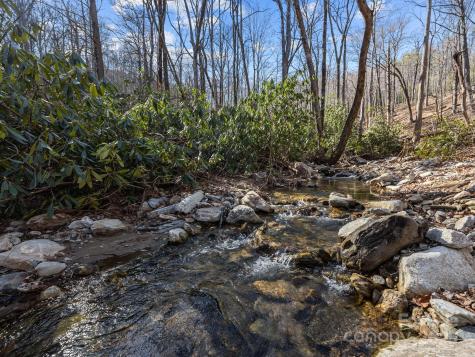 000 Stafford Lane S Mill Spring NC 28756