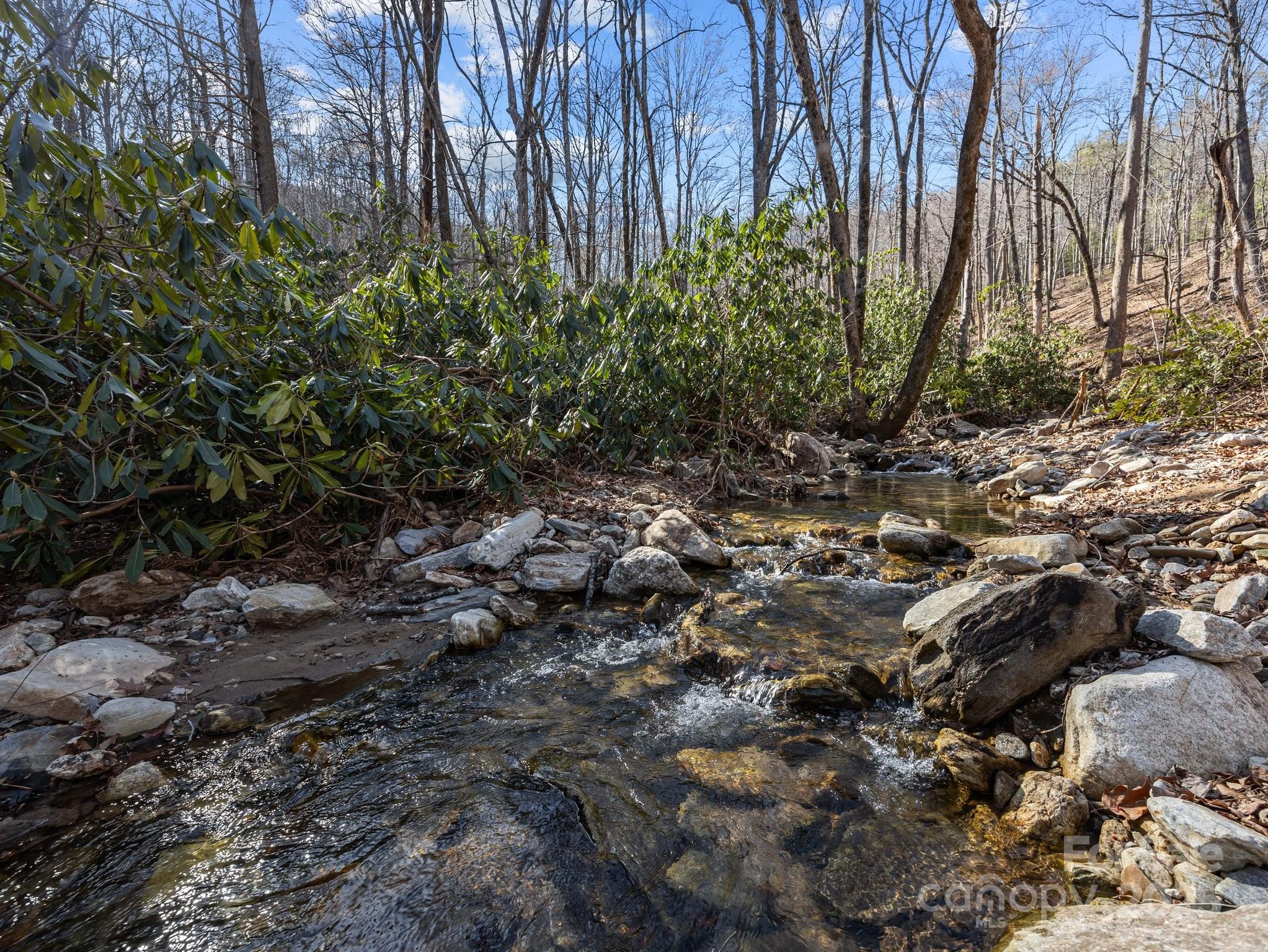 000 Stafford Lane S Mill Spring NC 28756