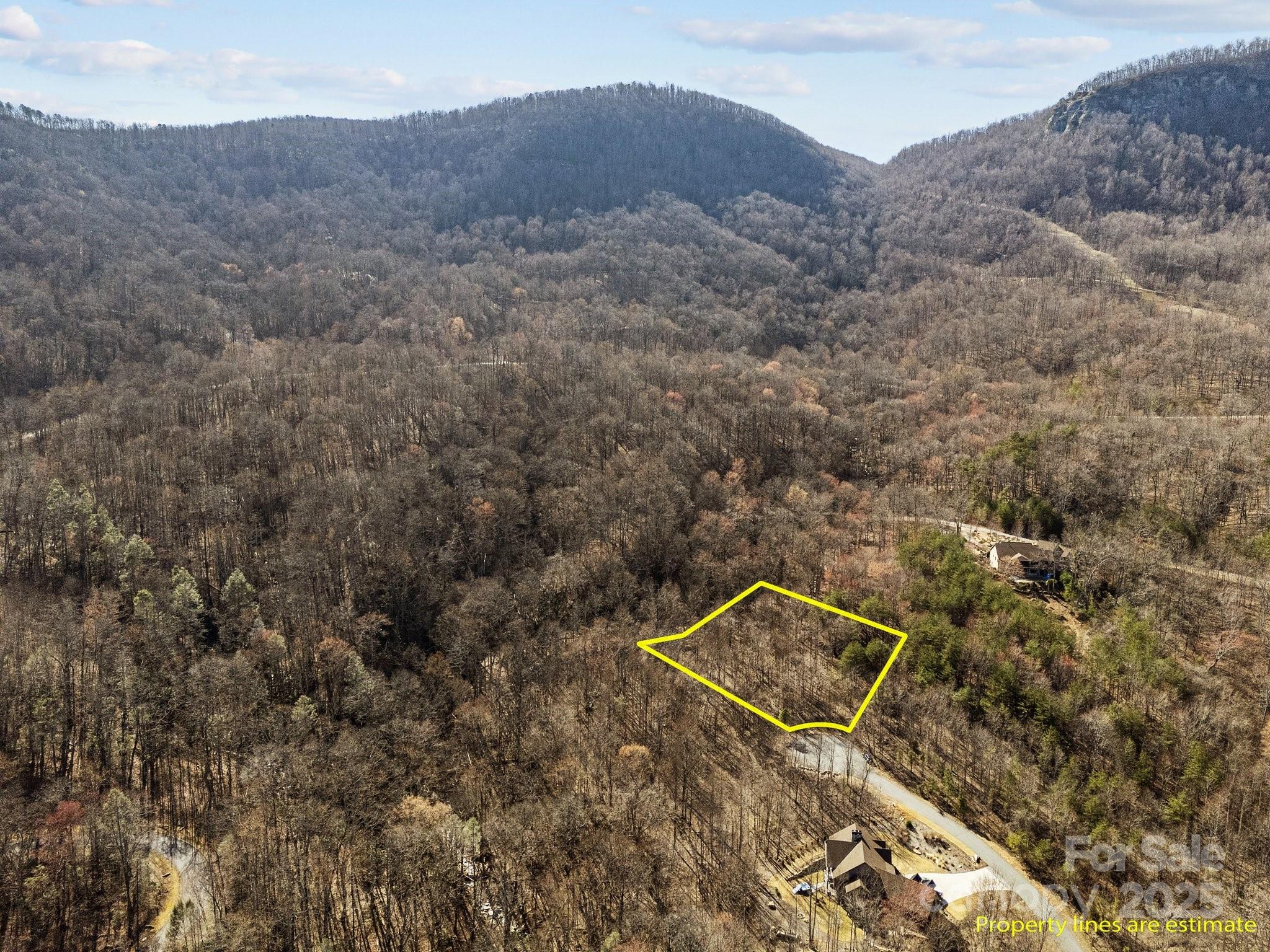 000 Stafford Lane S Mill Spring NC 28756