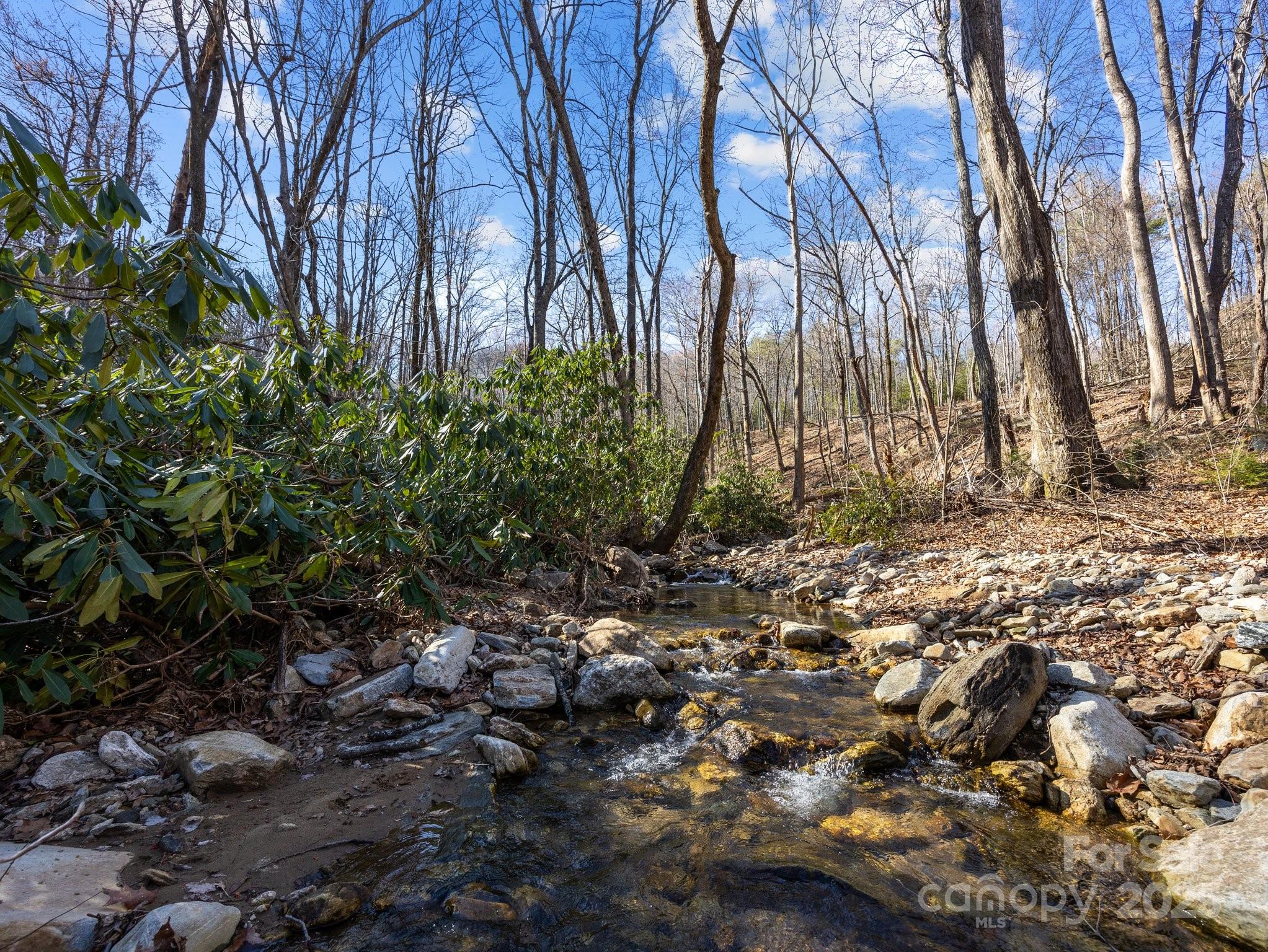 000 Stafford Lane S Mill Spring NC 28756