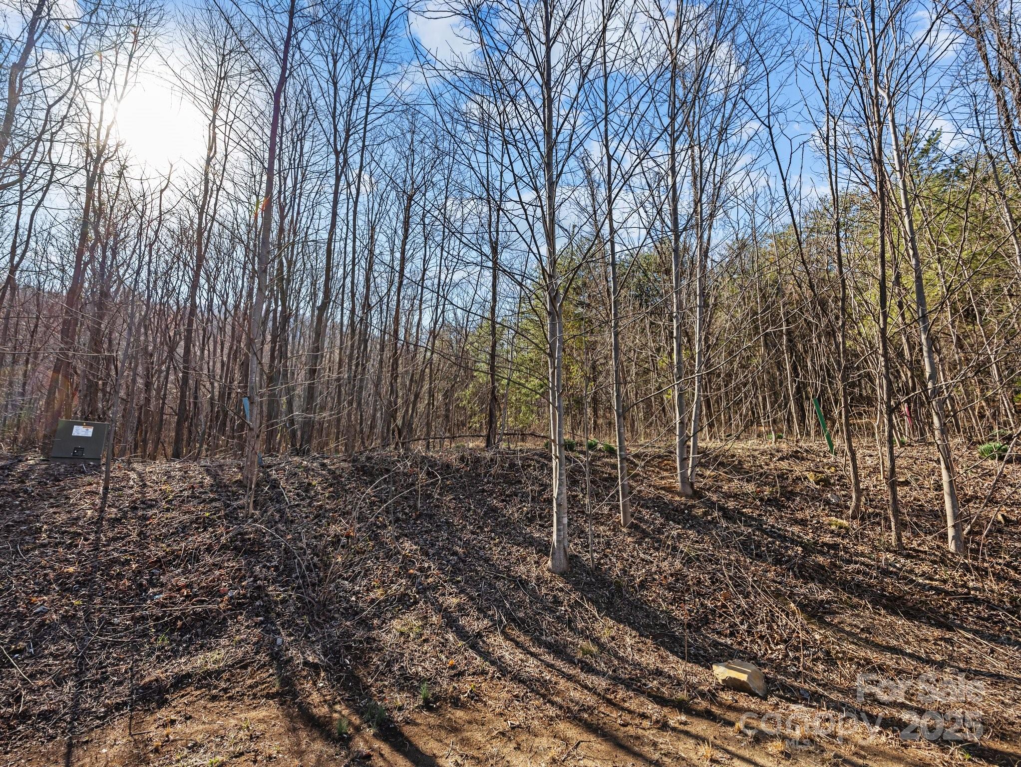 000 Stafford Lane S Mill Spring NC 28756
