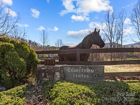 000 Stafford Lane S Mill Spring NC 28756