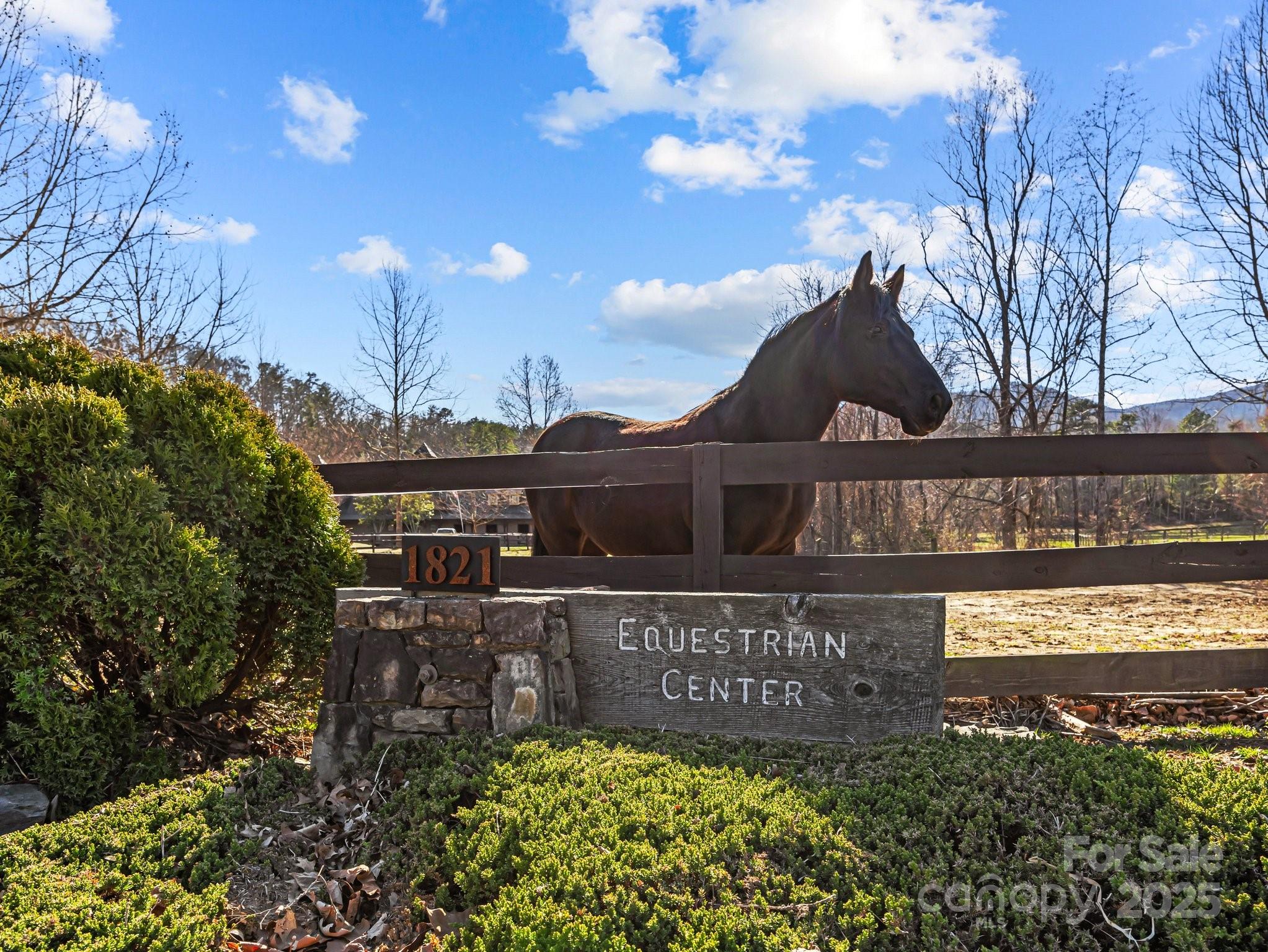 000 Stafford Lane S Mill Spring NC 28756