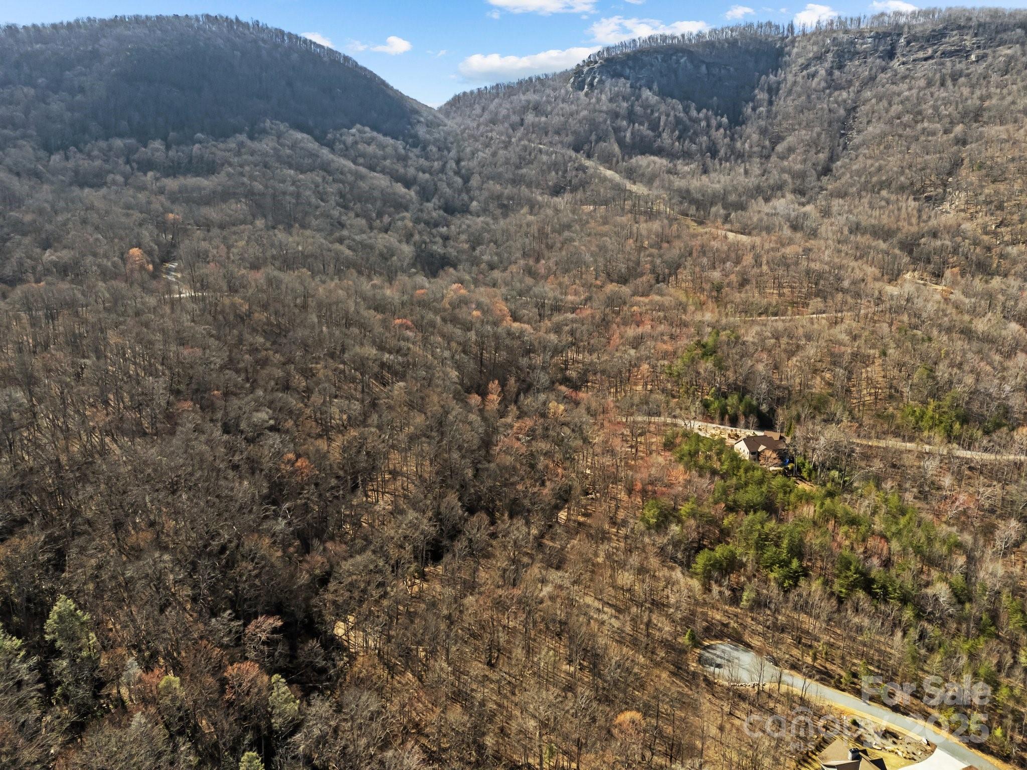 000 Stafford Lane S Mill Spring NC 28756