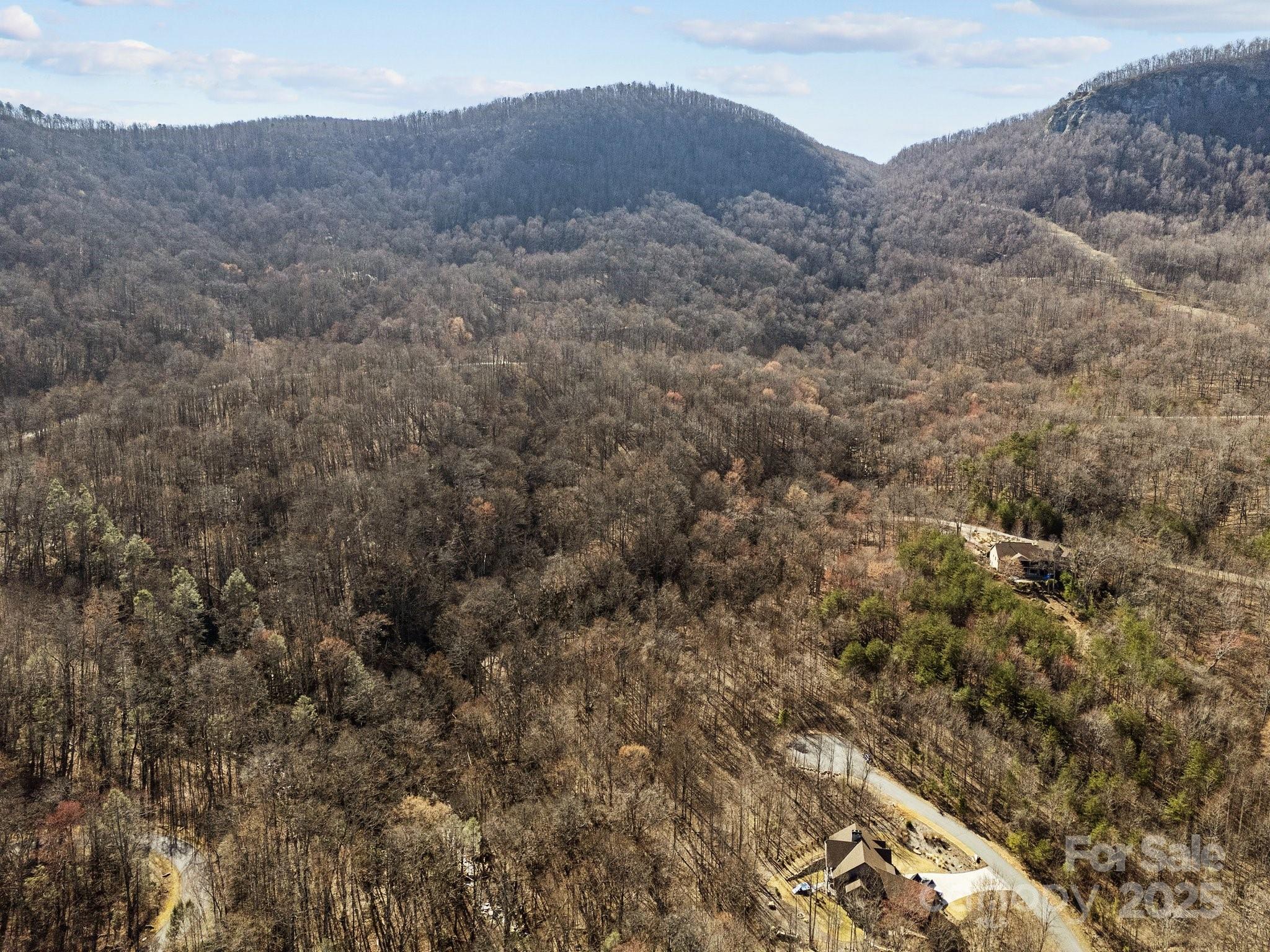 000 Stafford Lane S Mill Spring NC 28756
