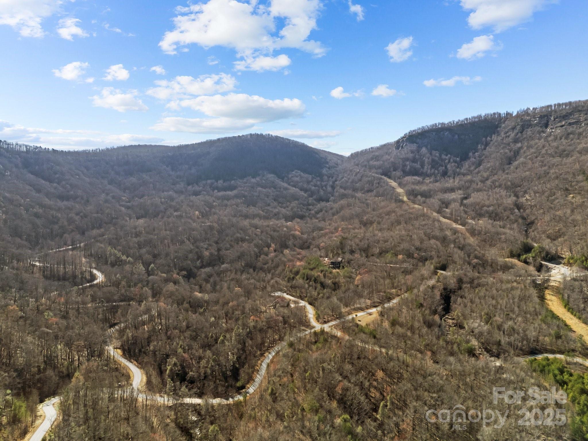 000 Stafford Lane S Mill Spring NC 28756