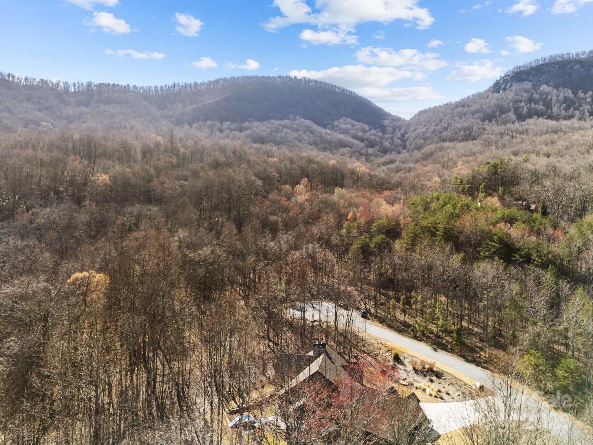 000 Stafford Lane S Mill Spring NC 28756