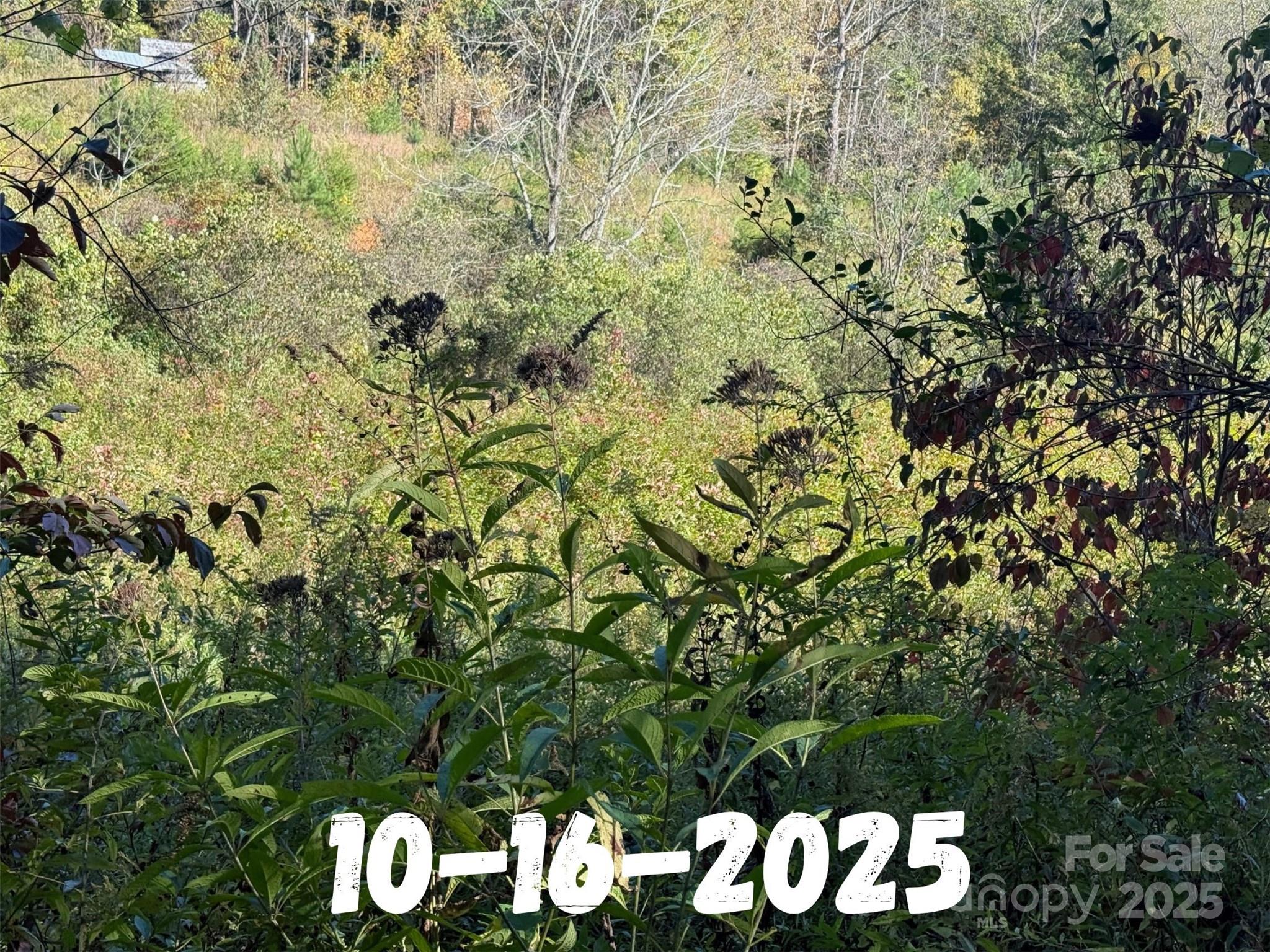 8361 Old Fort Sugar Hill Road Marion NC 28752