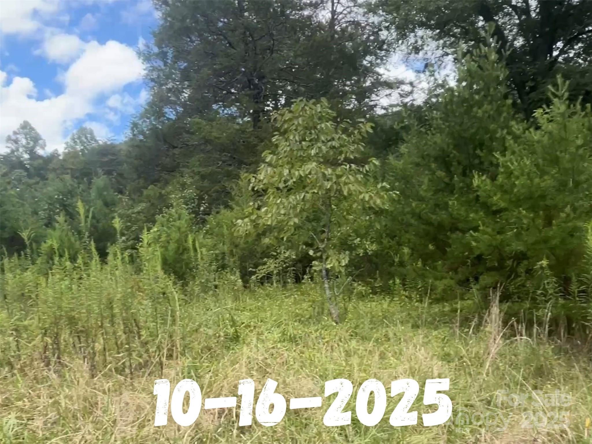 8361 Old Fort Sugar Hill Road Marion NC 28752