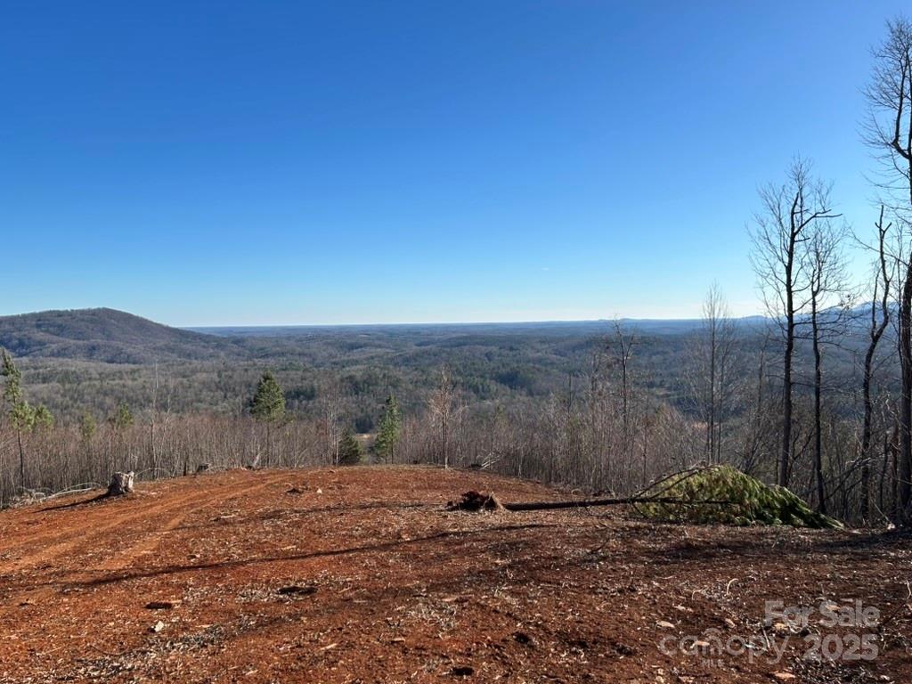 0 Cove Road Union Mills NC 28167