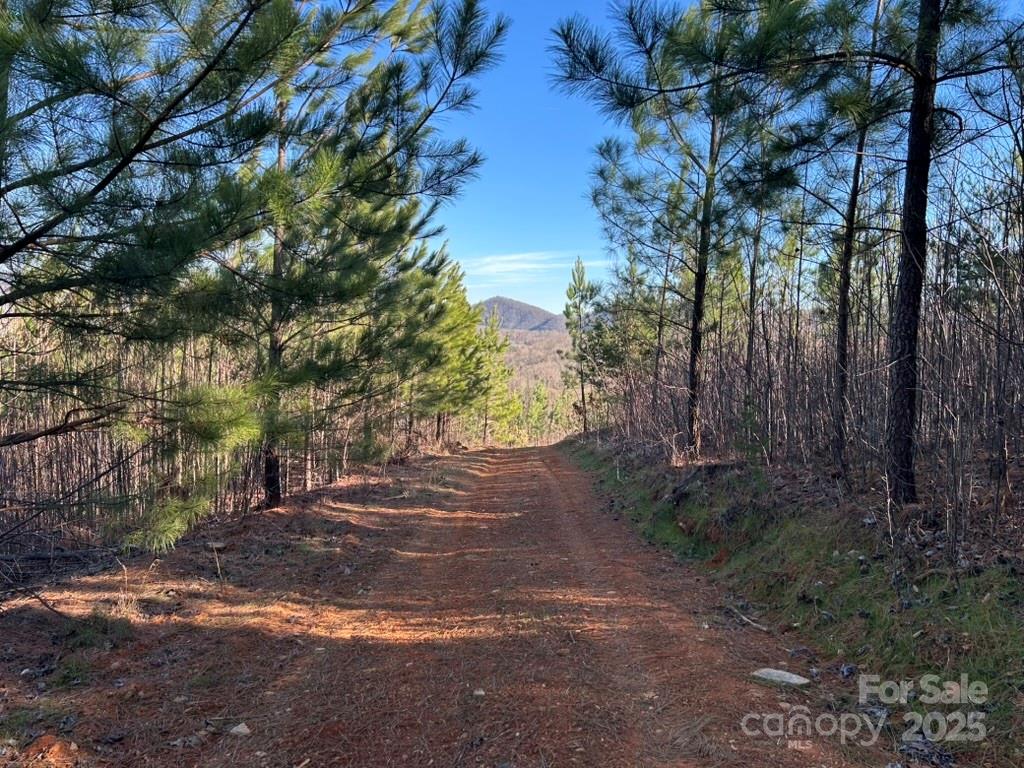 0 Cove Road Union Mills NC 28167