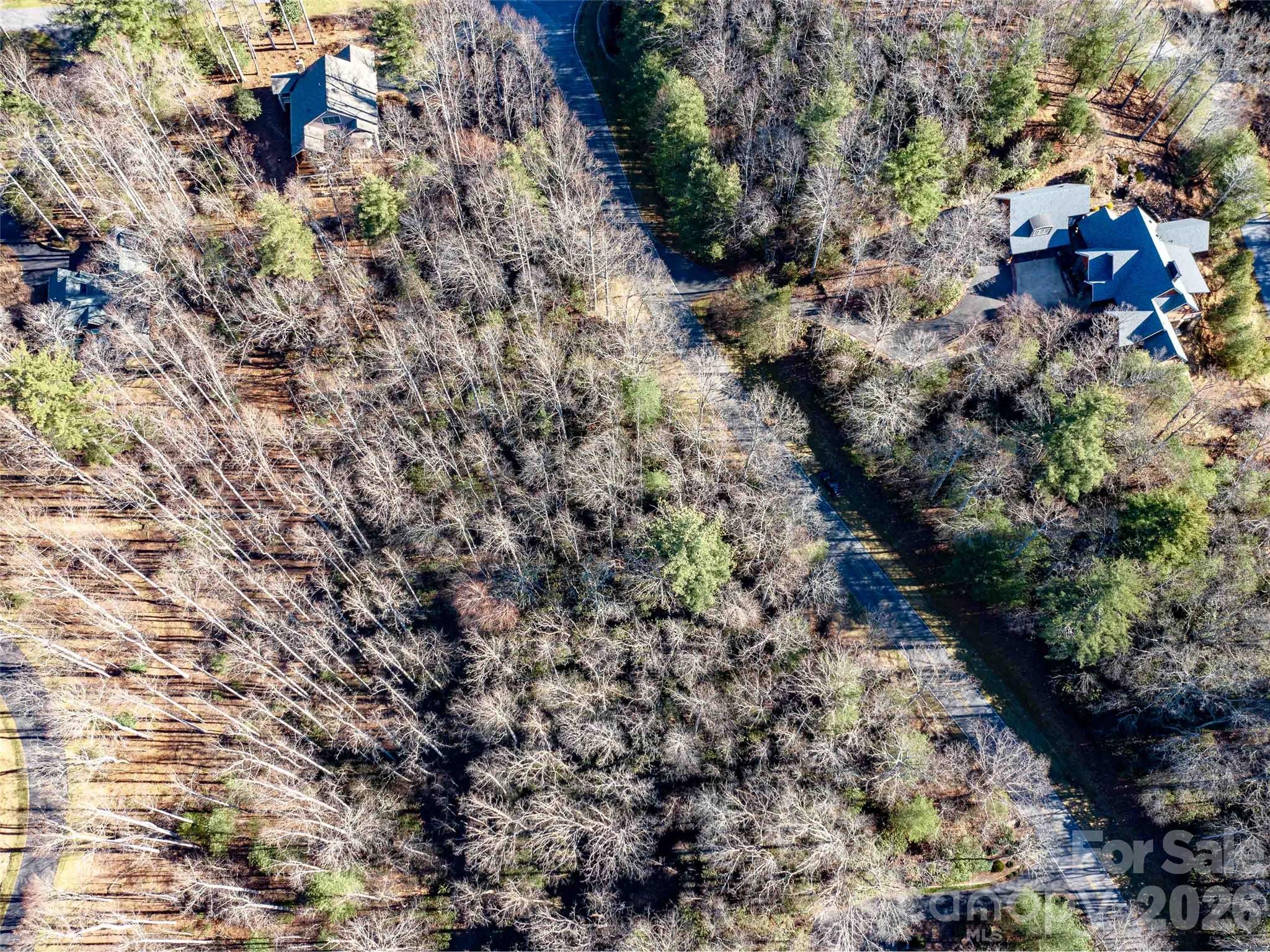000 Chattooga Run Hendersonville NC 28739