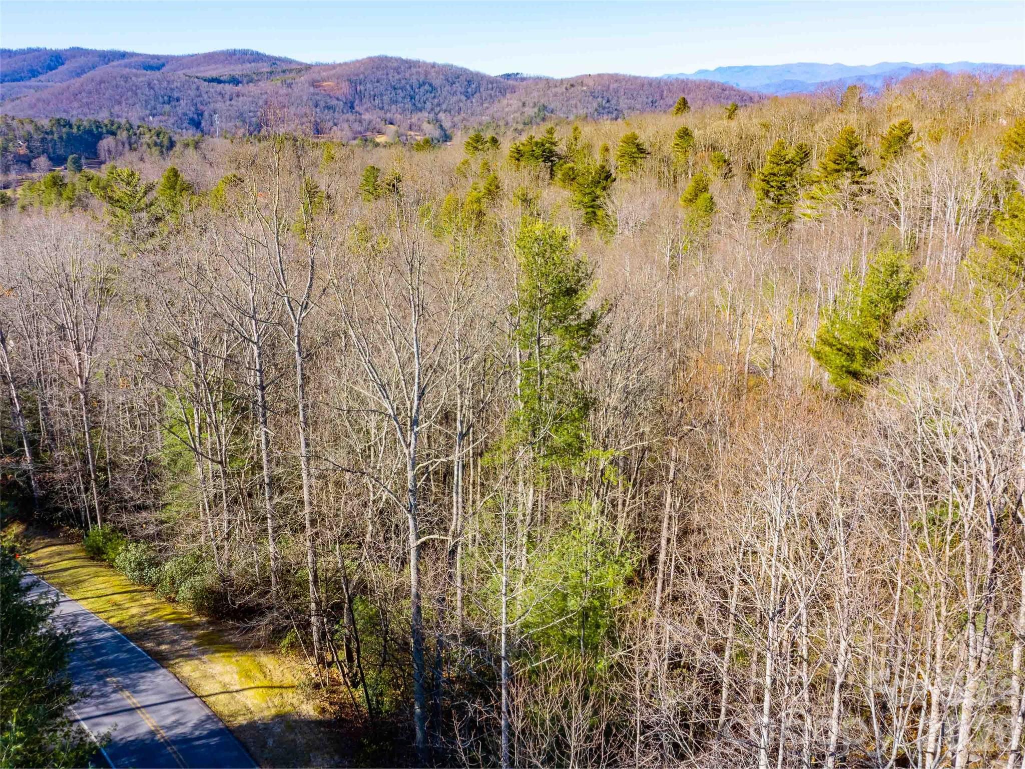 000 Chattooga Run Hendersonville NC 28739