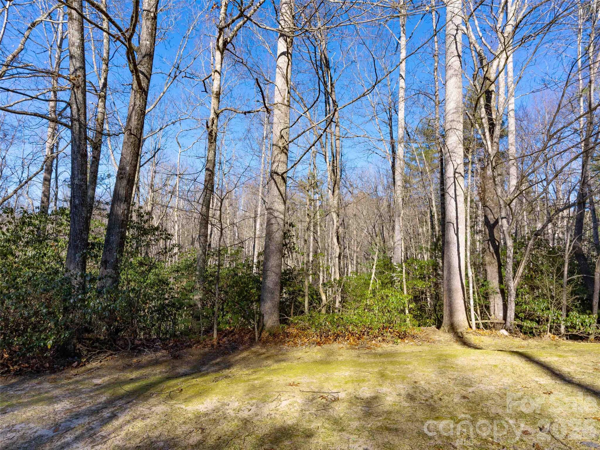 000 Chattooga Run Hendersonville NC 28739