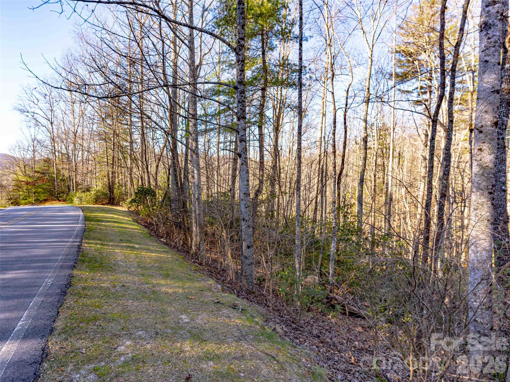 000 Chattooga Run Hendersonville NC 28739