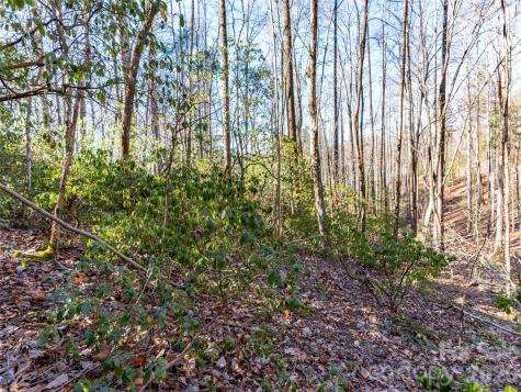 000 Chattooga Run Hendersonville NC 28739