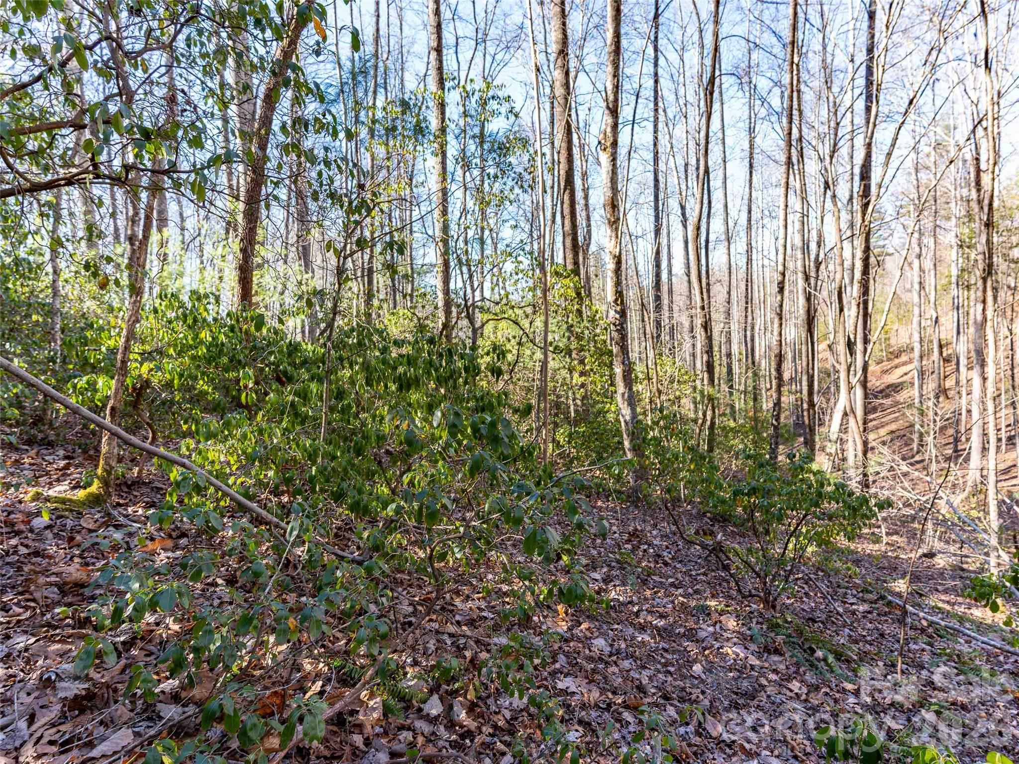 000 Chattooga Run Hendersonville NC 28739