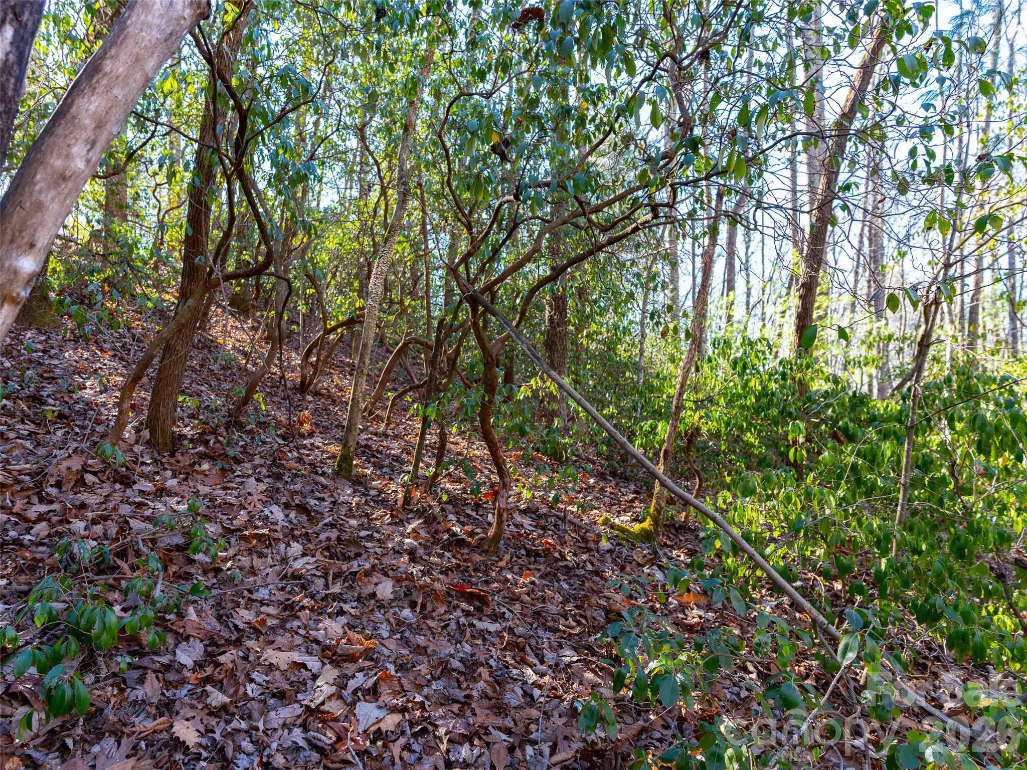 000 Chattooga Run Hendersonville NC 28739